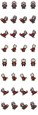 Braviary